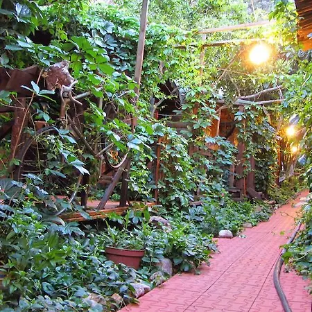 Natural Guest house Olympos
